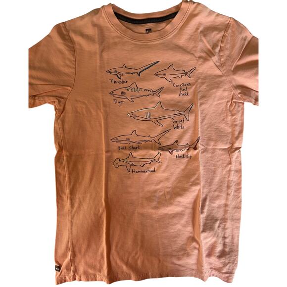 Tea Collection light orange red shark shirt size 16 - Picture 1 of 2
